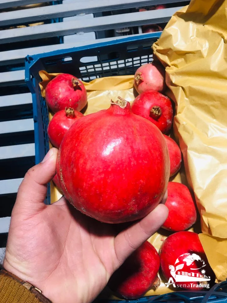 Professional manufacturer supply Reasonable price wholesale Fresh Fruits Pomegranates Fresh Pomegranates