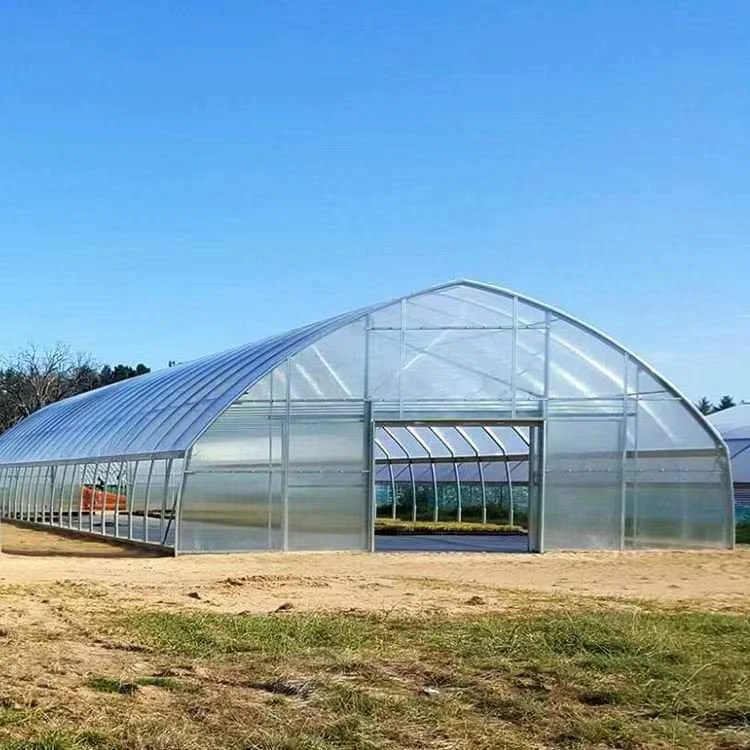 High Quality Cooling System Greenhouse Complete Set Design China Wholesale Commercial Greenhouse for Snail Farming