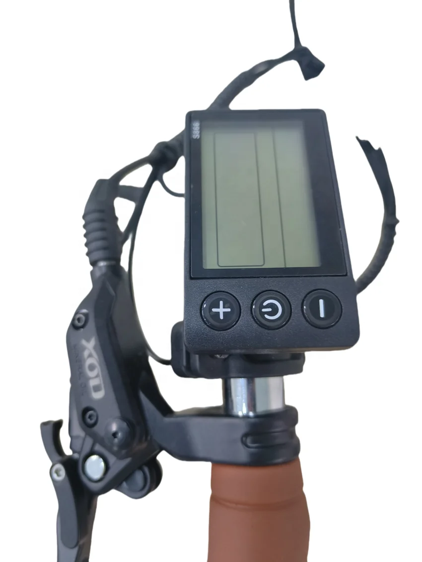 Best Selling 3-Wheel Family Electric Cargo Bike 350W Motor Powered with 48V Lithium Battery  Carrier Position