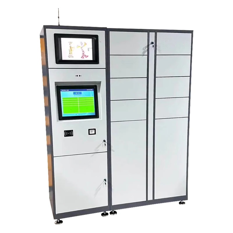 Factory Professional Customized Face Id Digital Lock Smart Locker System for Sale RFID Security Fingerprint Lock Mail Locker