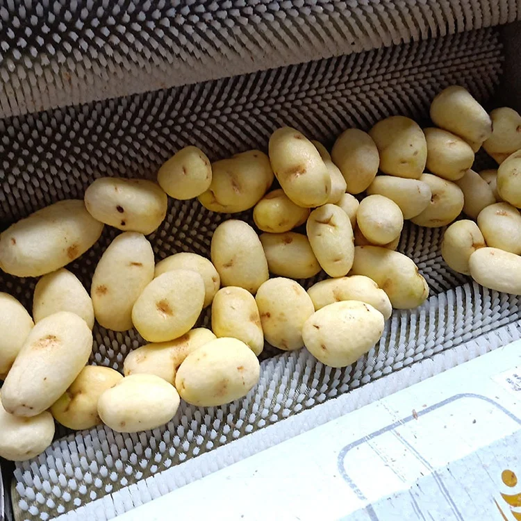 Машина для чистки и пилинга, щетка для фруктов и овощей, стиральная машина