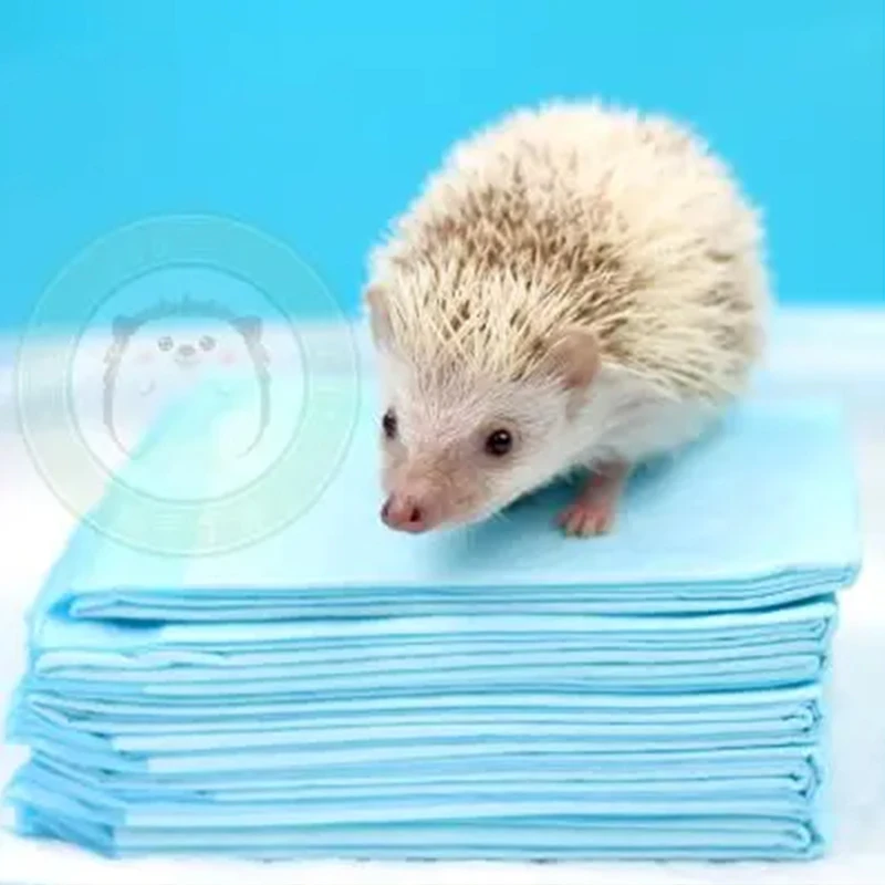 Modern 2024 Disposable Cotton Pet Diapers Novel Design OEM Printed Dog Diapers for Male Female Low Price Free Shipping