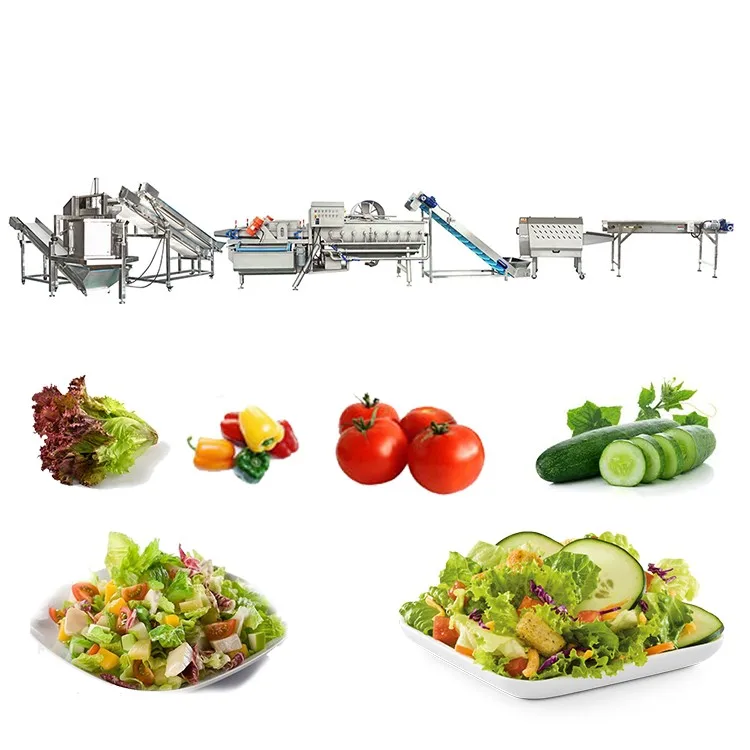 Automatic Vegetable & Fruit Cutting Washing Production Line, Salad Vegetable Processing Line