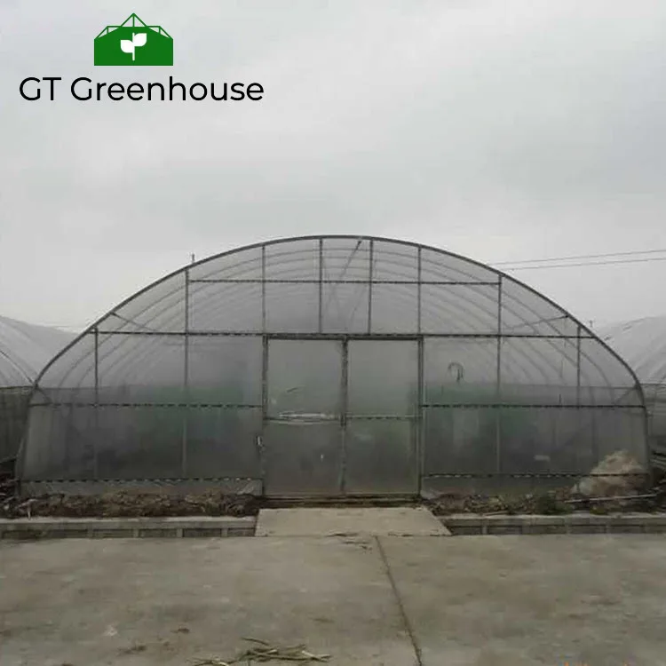 Agricultural product plastic house tunnel Greenhouse For Agriculture Invernaderos China