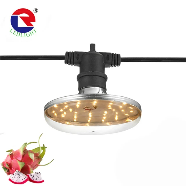 Pitaya Dragon Fruit  LED Plant Growing Lamp  Full Spectrum E27 15W  LED Grow Light waterproof outdoor greenhouse Plant Bulb