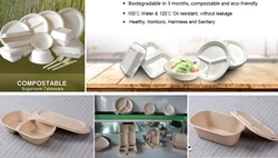 disposable paper pulp tableware/biodegradable food container
