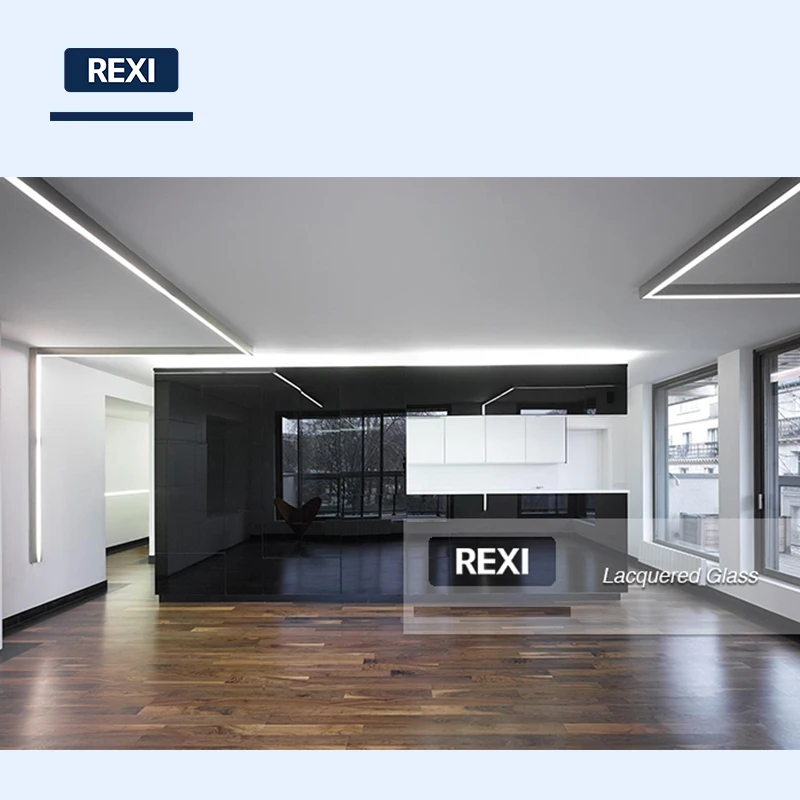 Factory Price 3mm-12mm black back painted glass panel wall