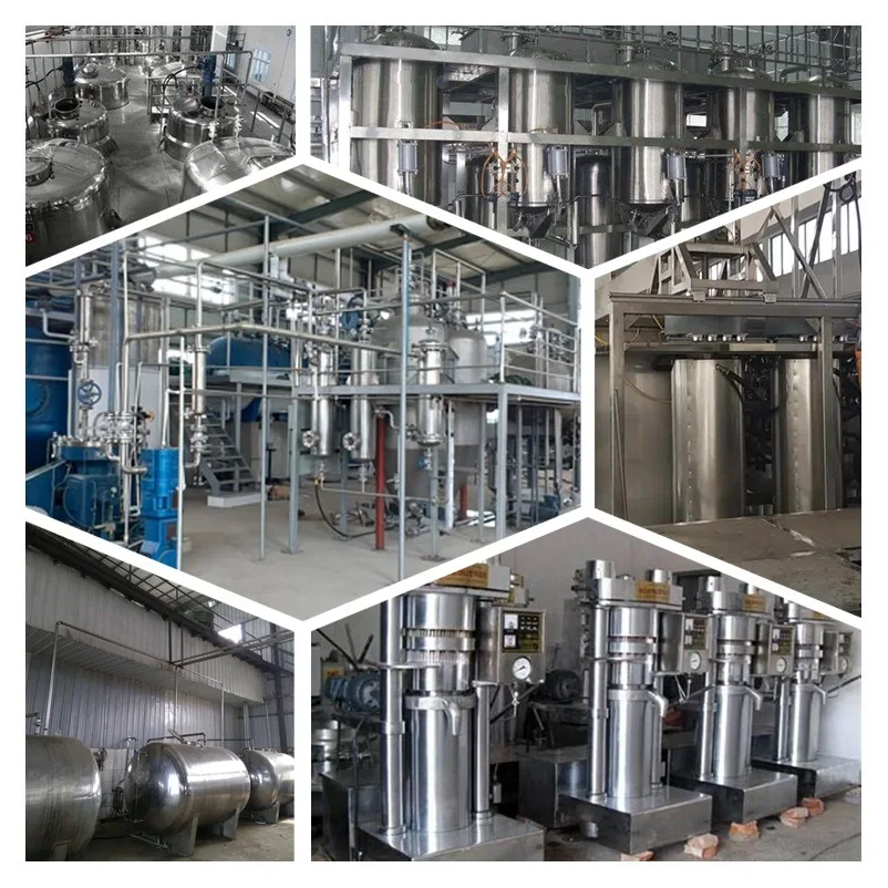 Pure Chlorogenic Acid White powder Honegsukle Raw Flower extract powder