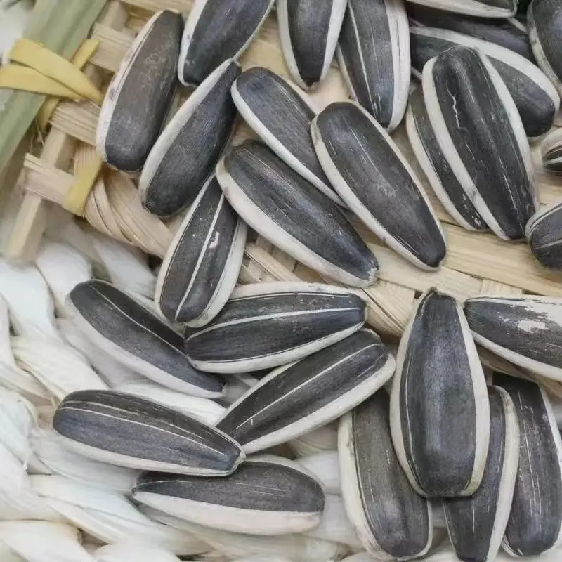 New Crop Chinese Sunflower Seeds 361/601/5009 Sunflower Seed Kernel