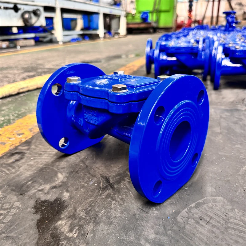 Factory Hot Selling DN50 DN65 DN80 DN100 Rubber flap check valve for water