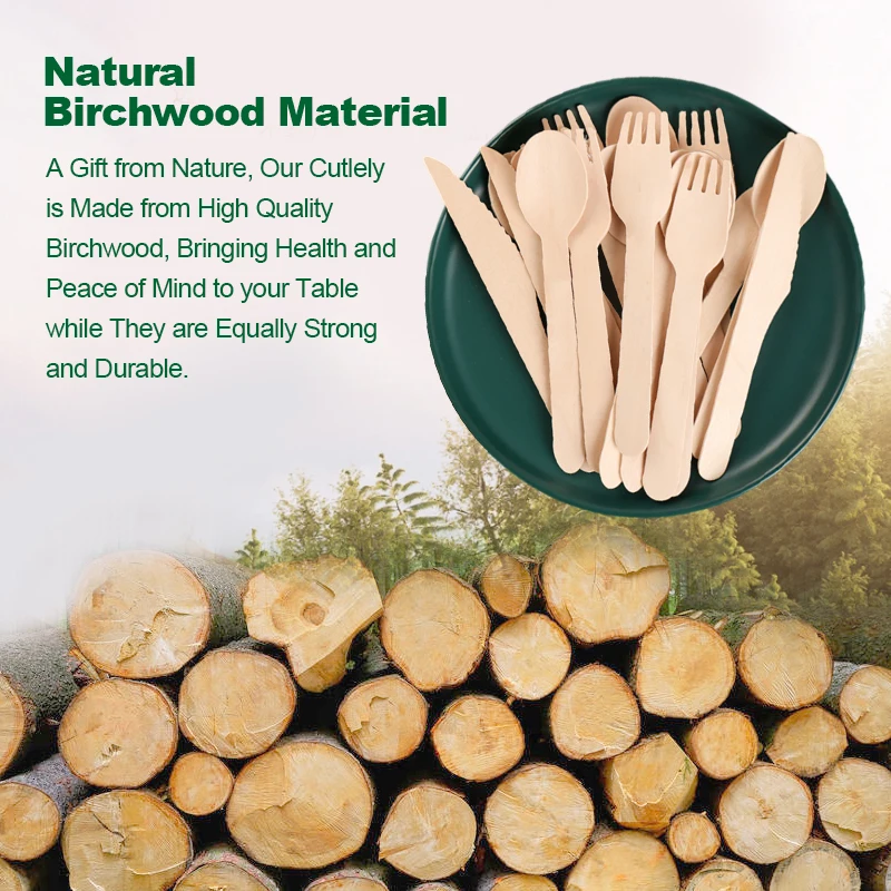 Natural Birch Wood Eco Friendly Bulk Wooden Spoon Disposable Biodegradable Wooden Cutlery