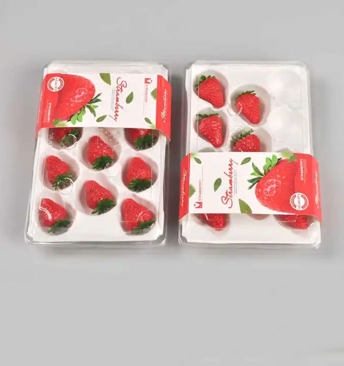 Reusable 9 11 12 15 20 24 pcs Insert Disposable PET Custom Food Grade Blister Container Plastic Fruit Strawberry Packaging Tray