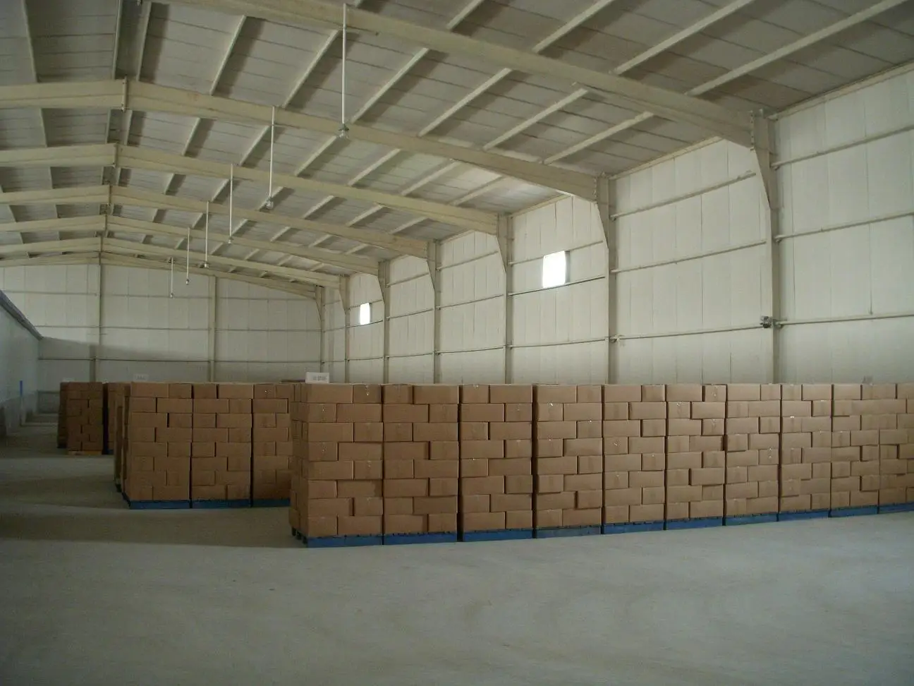 Natural Health dried kiwi slices Green yellow preserved kiwi slice