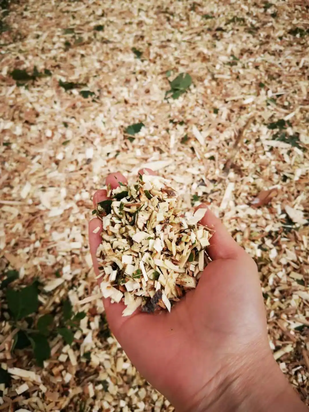 Plant trash branch shredder forest farm dead branch shredder garden branch shredder