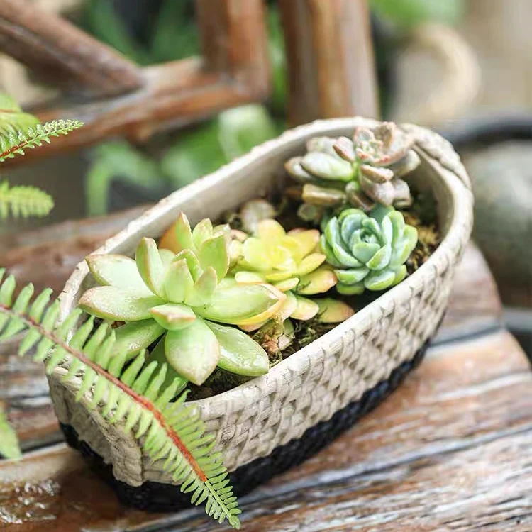 Household concrete woven storage basket green plants pots small black cement flowerpot round decorative garden plant flower pot