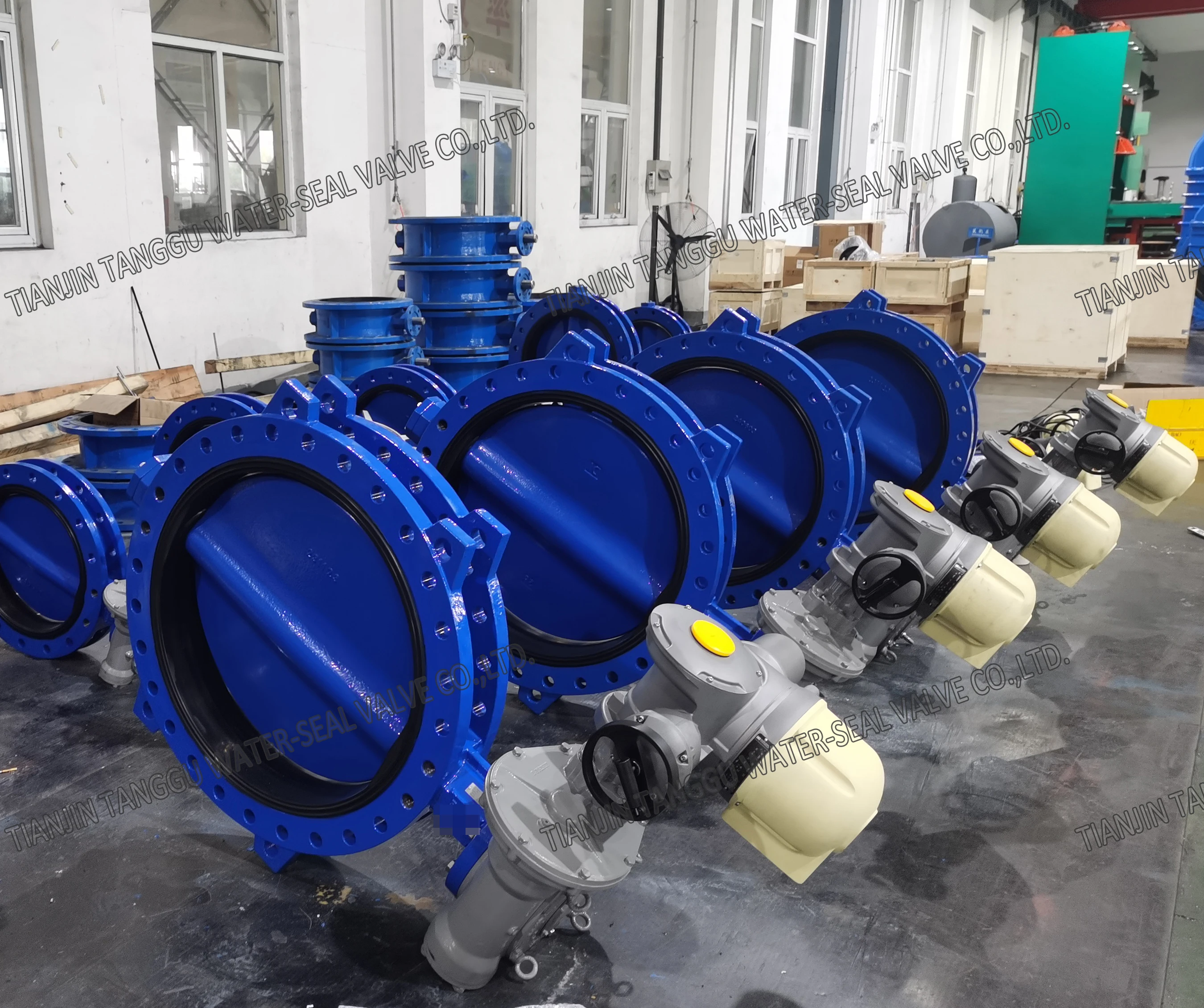 DN500  DN700 Concentric Double Flange Butterfly Valve with IP68 Electric Actuator for Drinking Water