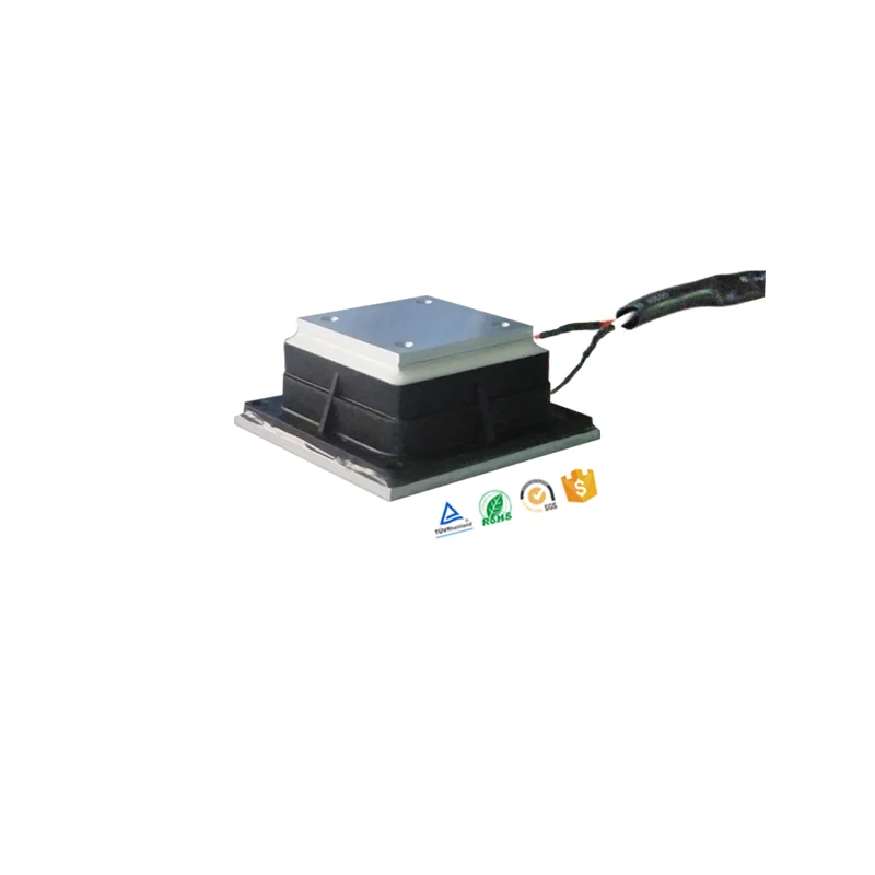 Easy to Handle Thermoelectric Generator Module Cool Sale