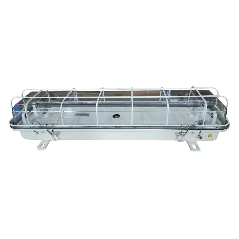 ZYC22-2EF водонепроницаемый свет морской флуоресцентный подвесной светильник