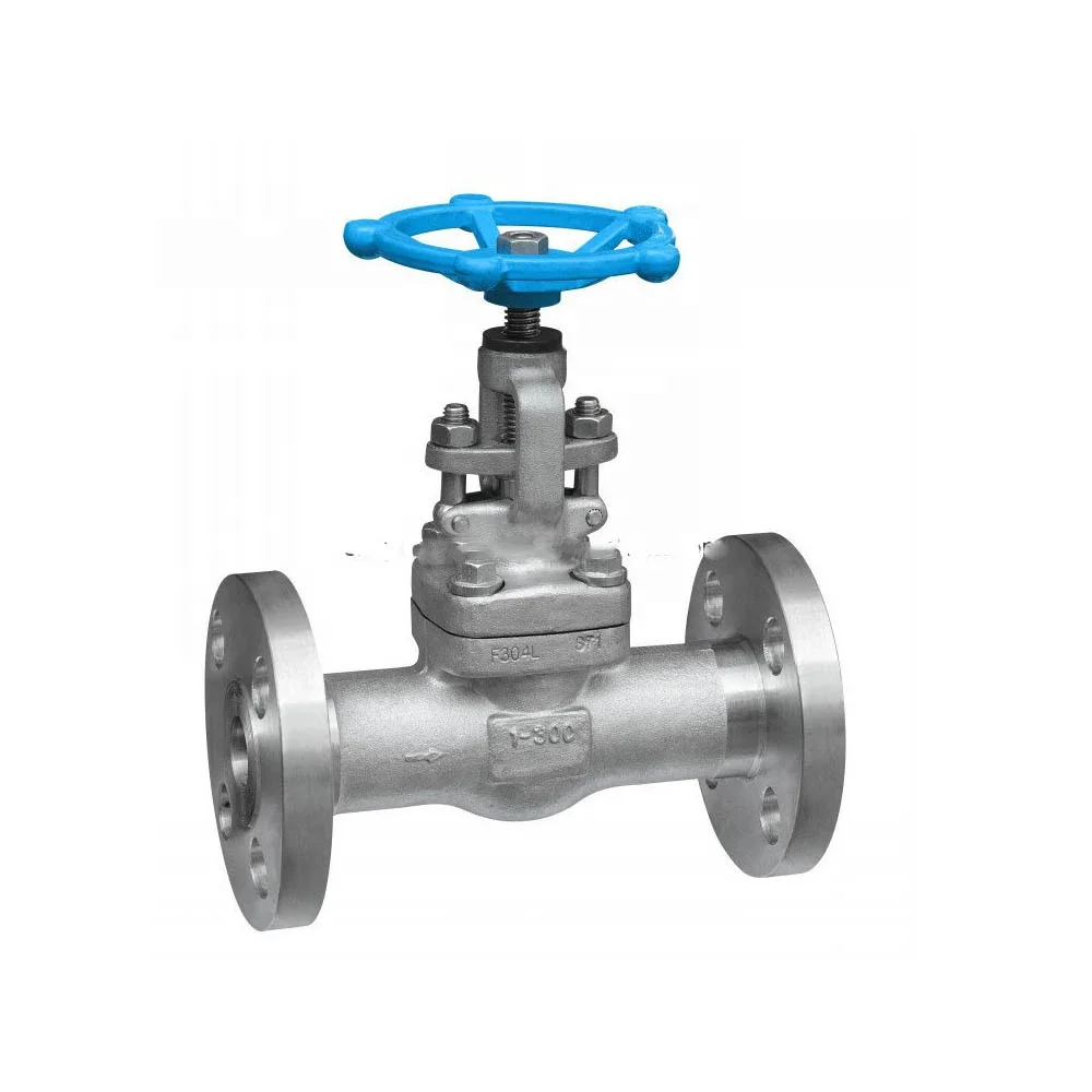 API602 high pressure forged steel F316 NACE MR0175  standard 600LBS 2inch  flange swing check valve