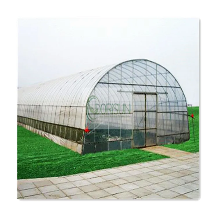 Dorisun Modern Complete 100 Square Meters Tall Large Tomato Farming Smart Greenhouse Equipment For Plants