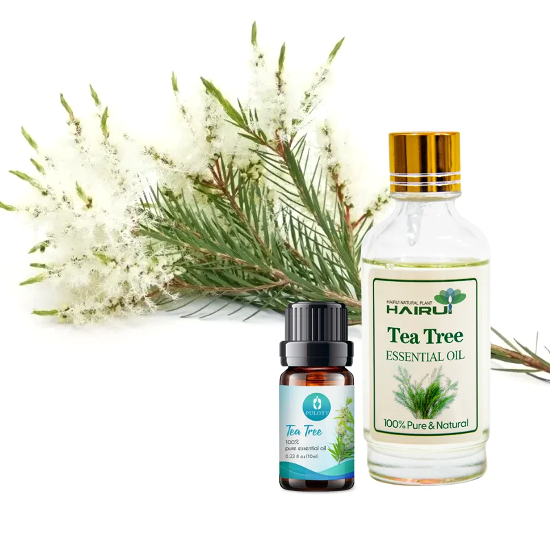 Factory wholesale bulk free sample tea tree essential oil private label pure natural undiluted tea tree oil for skin care