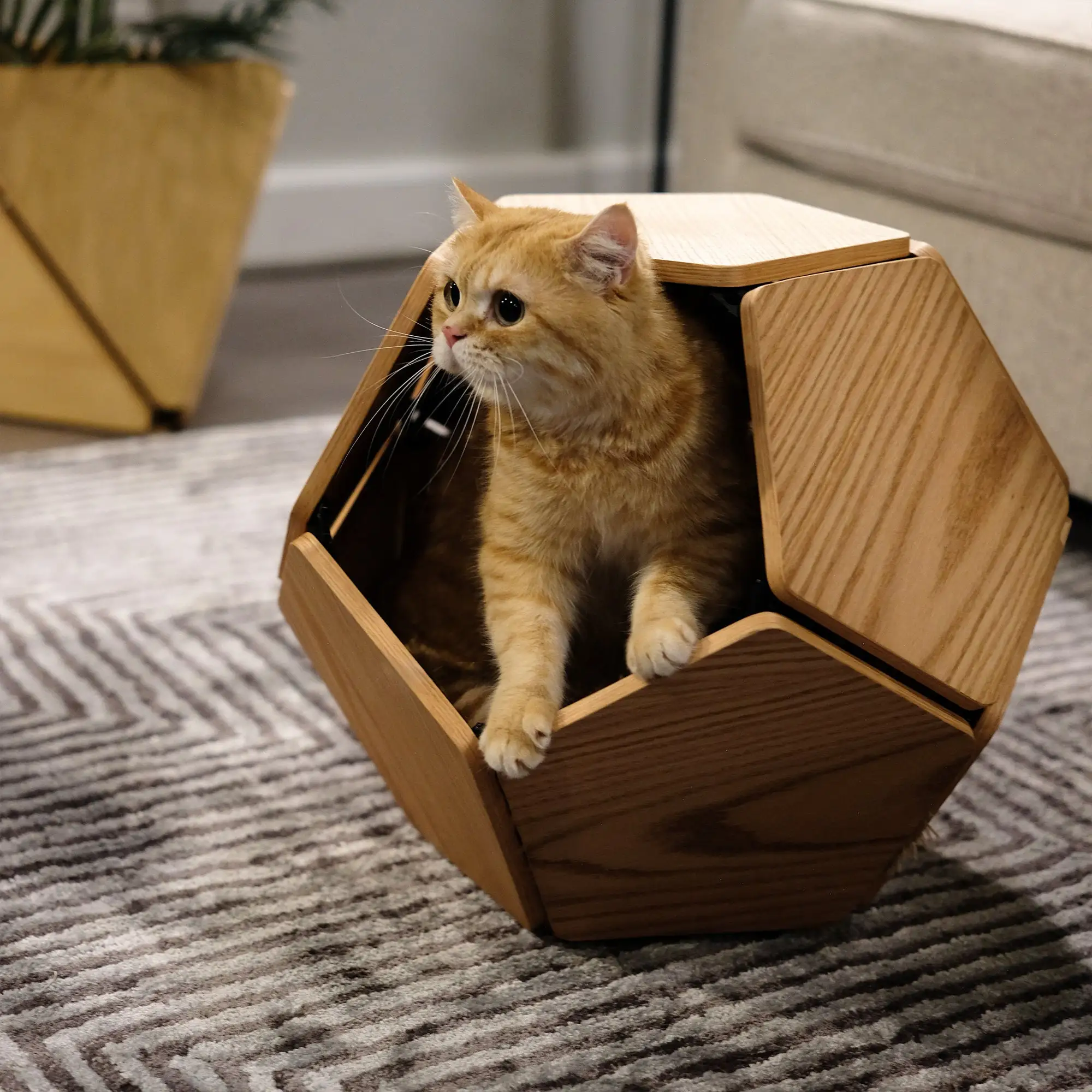 Современный роскошный новый дизайн шпонированная кровать для кошек пещера геометрический боковой стол современная мебель из натурального дерева шестиугольная