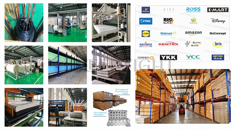 Sleeptight OEM/ODM guangdong double size foam mattress the wholesale mattress factory