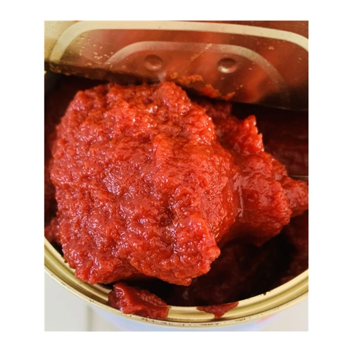 Good Quality Canned Tomato Paste Tin Packing 70g in Aseptic