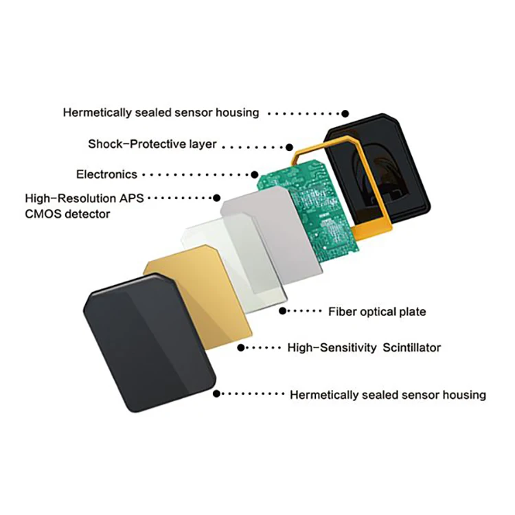 Digital X Ray RVG Sensor Dental