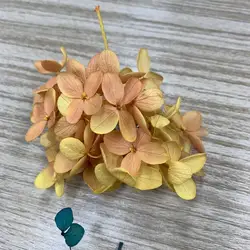 Preserved hydrangea  small leaf real touch hydrangea dried hydrangeas for flower DIY