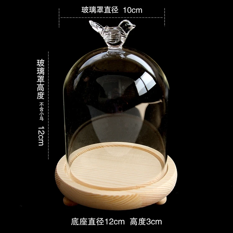 Beauty and the beast glass dome cover with copper string lights / cloche