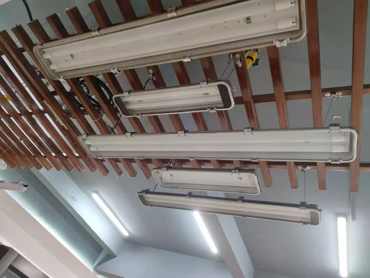 Ce Saa Sk Series Stainless Steel Ip65 Tri-Proof Led Poultry Light Fixture Waterproof