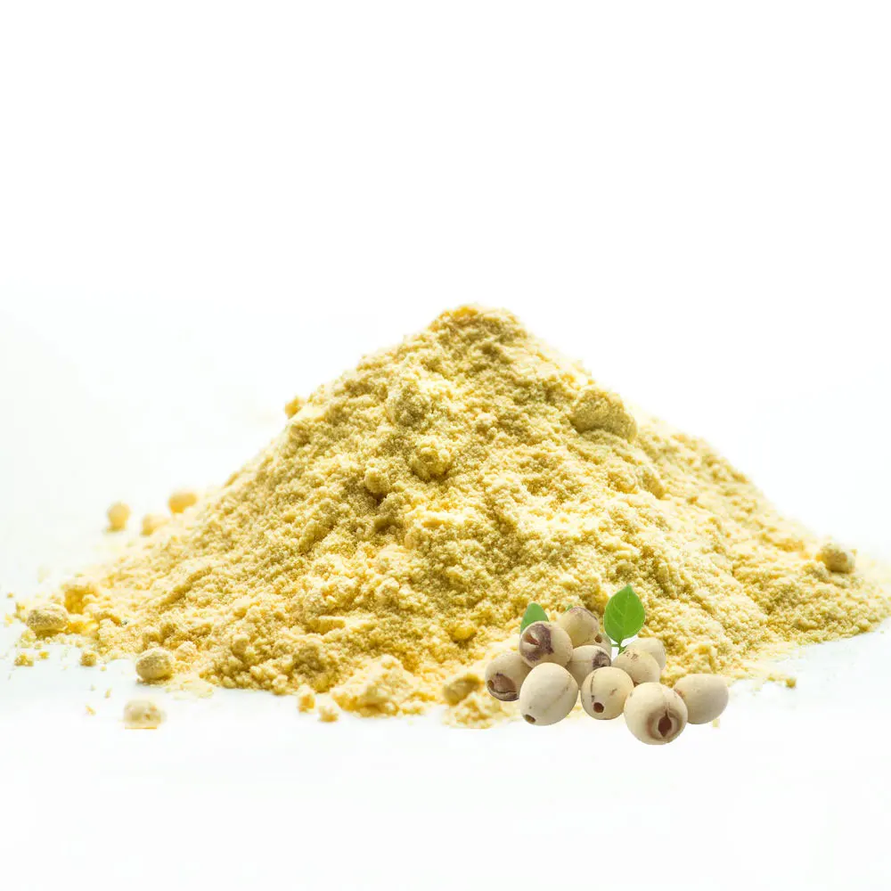 100% Pure Lotus Seed Extract Powder Promotes Digestion Herbal Extract Lotus Plumule Extract Powder