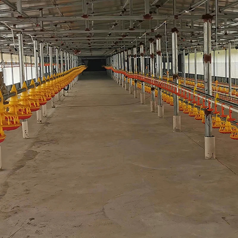 Poultry Farm Equipment Chicken House Hot Dip Silo Automatic Pan Feeder Nipple Drinker Israel Controller for Broiler Bird