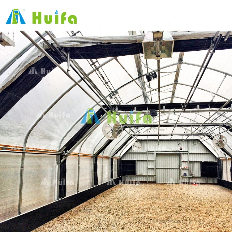 USA Market Single Tunnel Black White Film Light Deprivation Greenhouse Large Tunnel Greenhouse Huifa