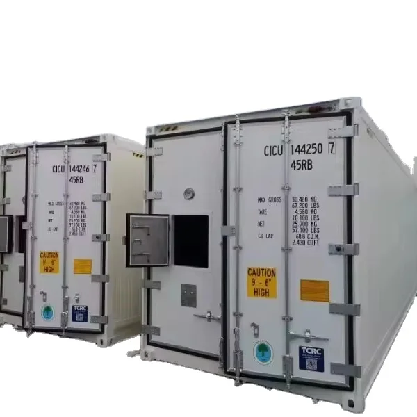 Распродажа изолированный контейнер для мяса рыбы овощей специальный РЕФРИЖЕРАТОРНЫЙ 20 футов