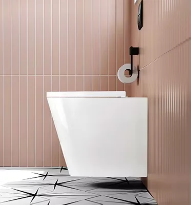 Toilette lavatory Australia watermark wc one piece bidet ceramic english seat back to wall mounted toilet installation