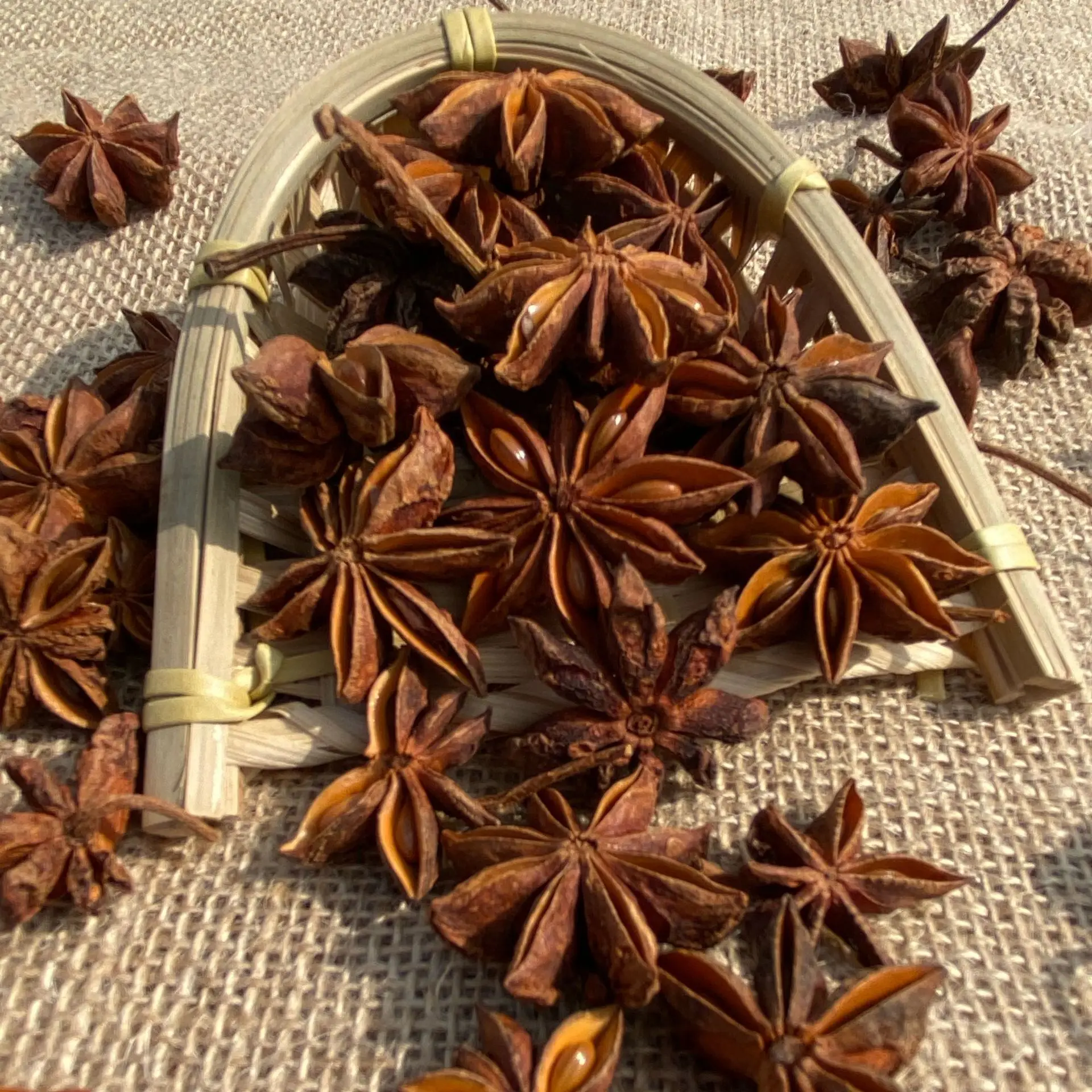 BXH High quality Guangxi dried 5 star anise flavoring, fennel seasoning star anise price , marinated meat stew star anise in chinese