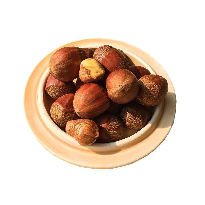Wholesale Price High Quality China 100% Natural Organic Turkish Roasted Hazelnut