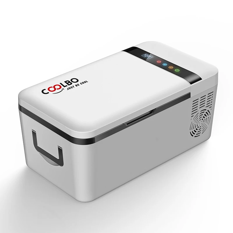 High Quality ABS BCD15 Liters Portable  Car Mini Fridge DC 12/24V Compressor Car Fridge For Camping