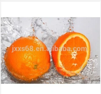 Cold Press Natural Pure Essential Oil Sweet Orange Peel D-Limonene Factory Supply for Body Use Skin Care Food Addictive Products