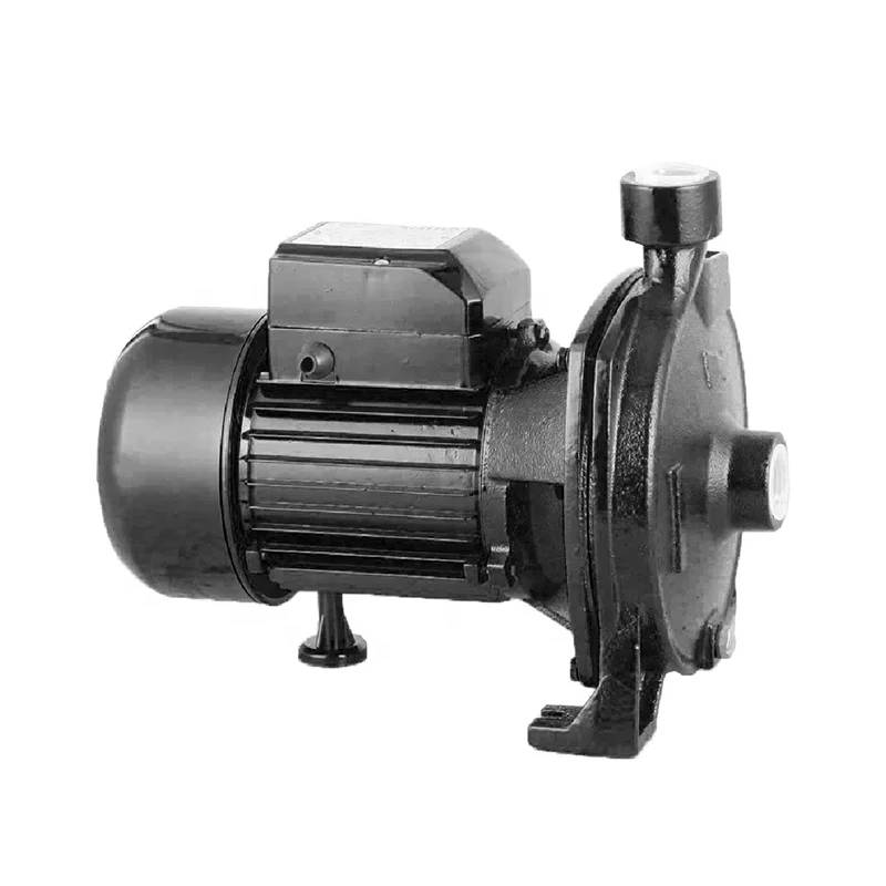 Cast Iron Pump Body And Support 1.1KW Intelligent Centrifugal Pump Magnum Head