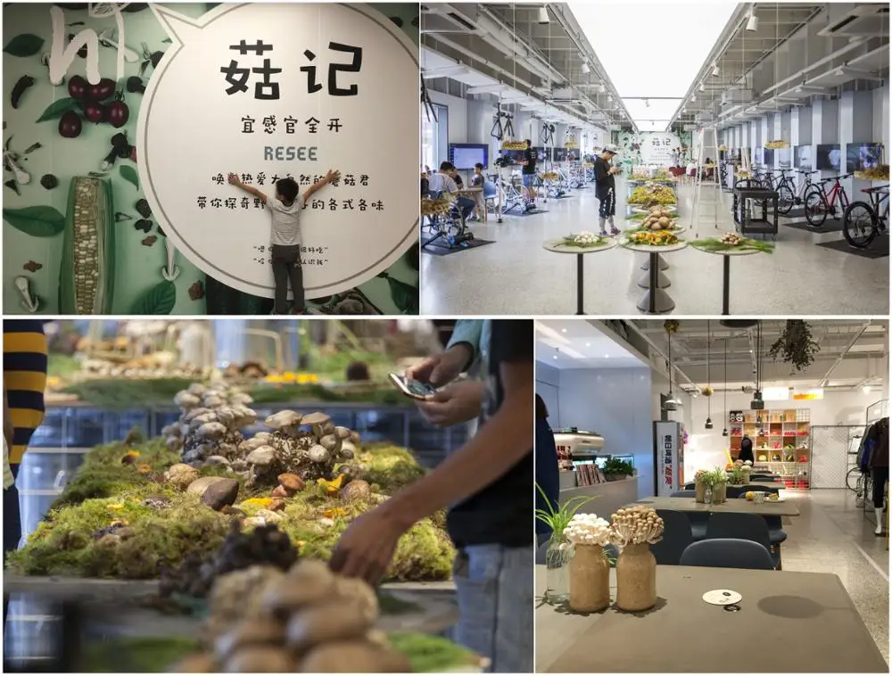 Detan High quality frozen black truffle with low price Frozen melanosporum