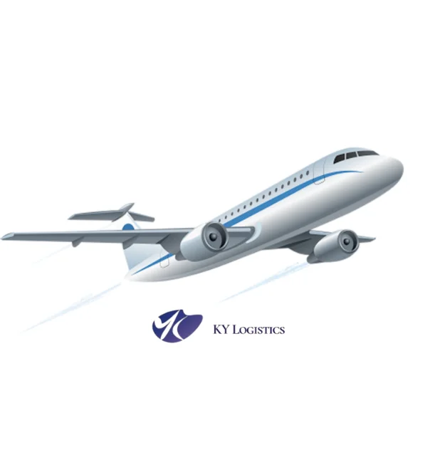 Тик Ток агент доставки Dhl/Fedex/Ups Air Express из Гуанчжоу/Шэньчжэнь Китай в США от двери до