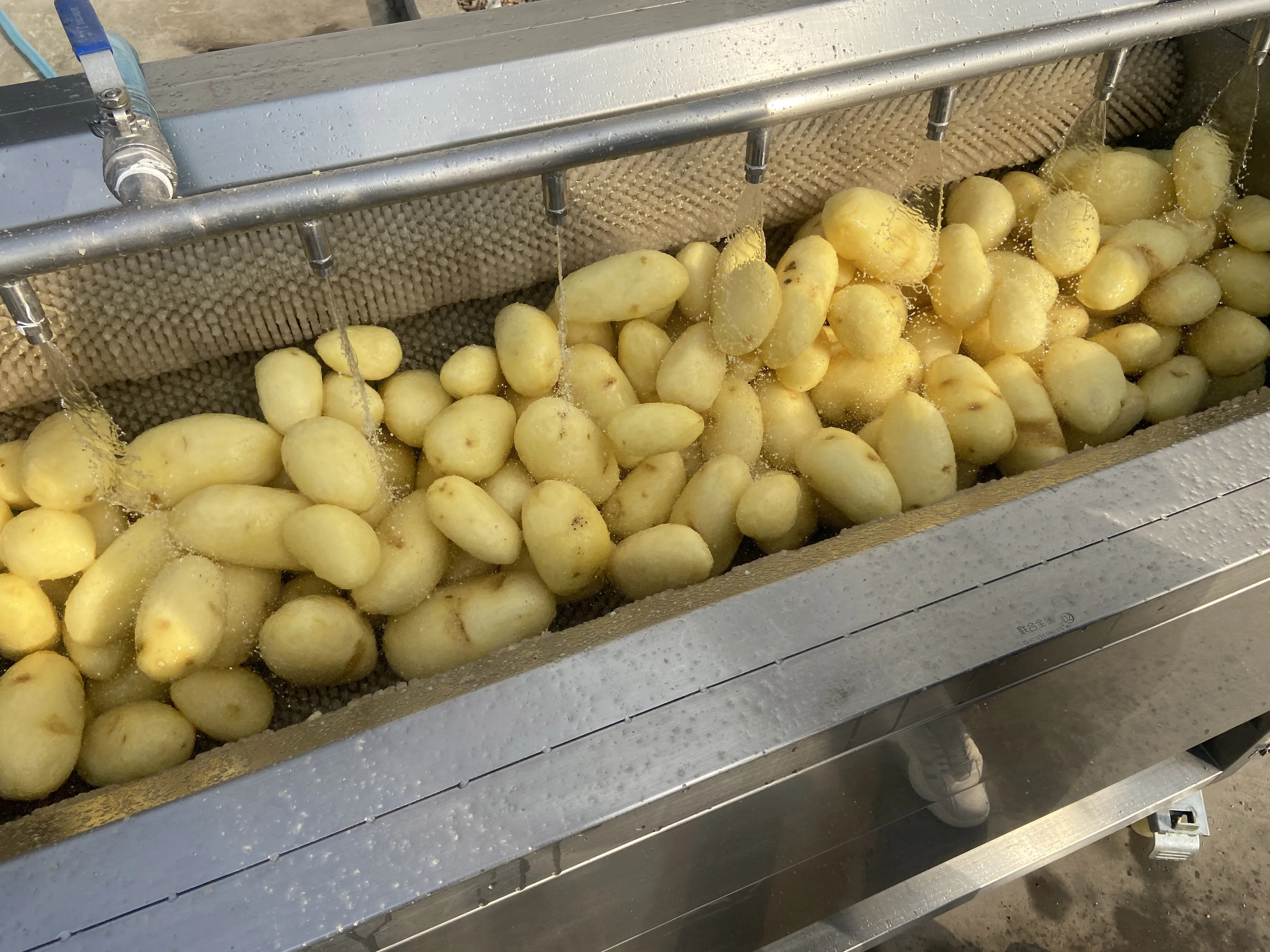 Industrial Brush Roller Type Onion And Root Cassava Carrot Fresh Ginger Potato Washer Peeler Washing Peeling Machine