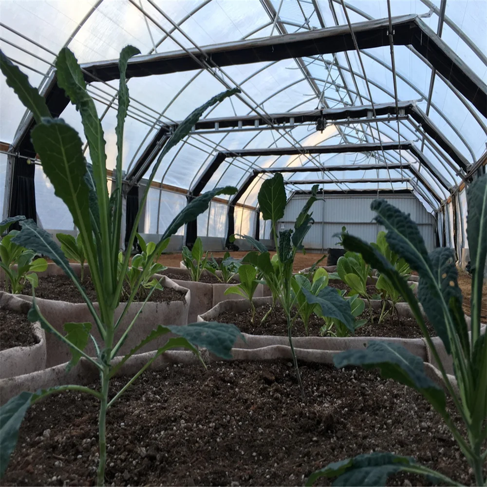 hemp greenhouse blackout film Blackout+Greenhouse+For+Fully+Automated+Light+Deprivation+System