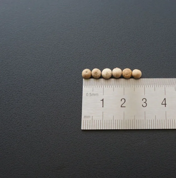 
Hot Peppers White AD Chilli & Pepper Single Herbs & Spices Dried with Low Price Fried Round 