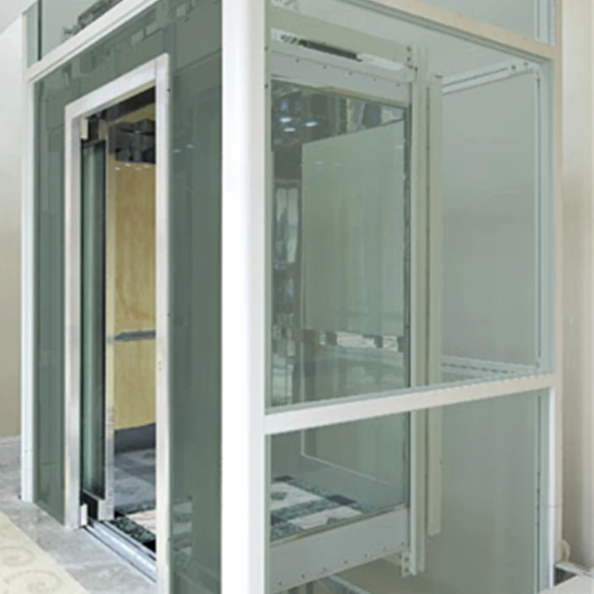 Qualified low price villa mini lift hyundai indoor elevator
