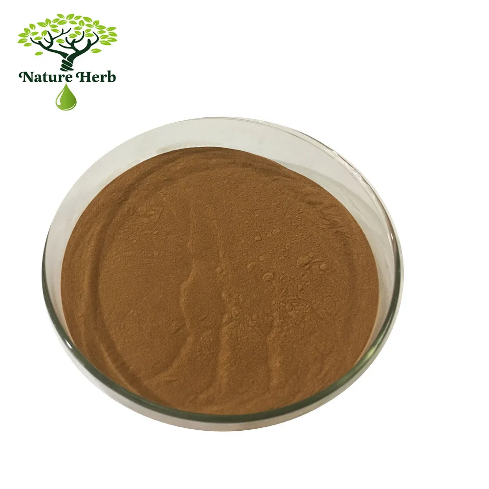 100% natural high quality Chaste Tree Berry Extract 4:1 powder
