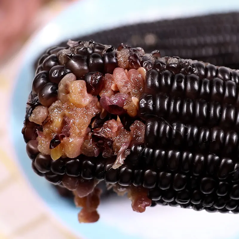 Sweet seasoned purple corn good price for corn oil